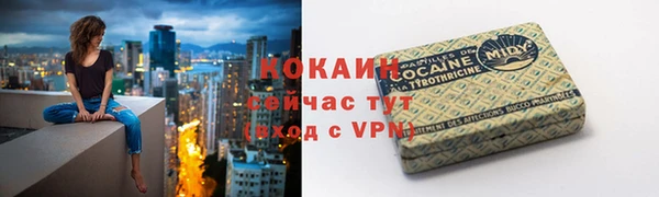 прущий лед Алзамай