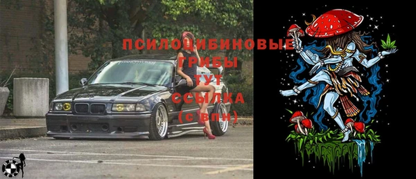 прущий лед Алзамай