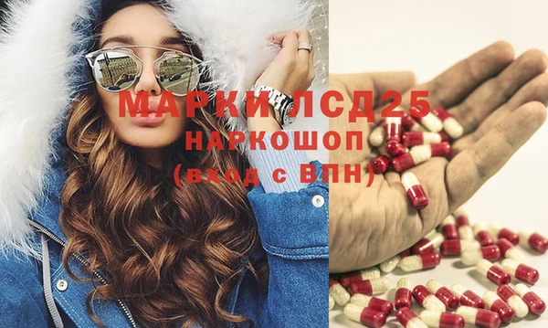 прущий лед Алзамай