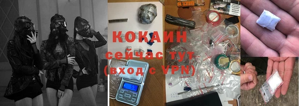 прущий лед Алзамай