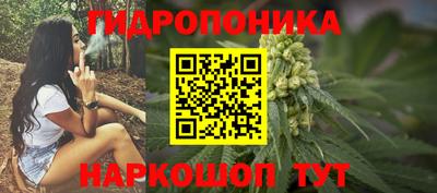 индика Кимры