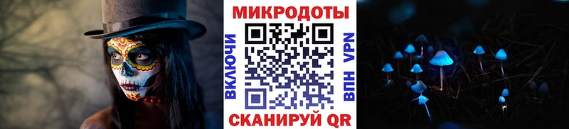 цена   кракен ONION  Галлюциногенные грибы Magic Shrooms  Котлас 