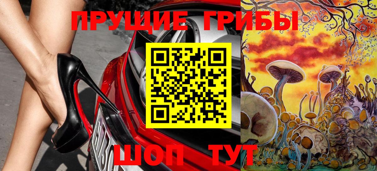 Галлюциногенные грибы Psilocybine cubensis  Вход с VPN  Котлас 