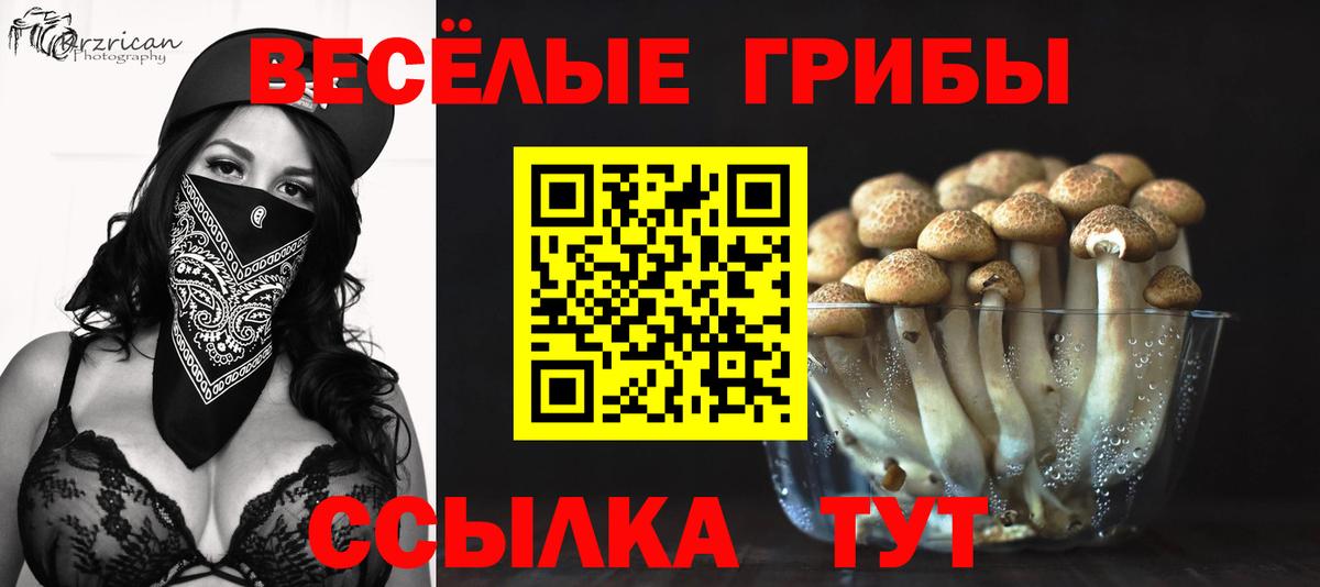 Галлюциногенные грибы MAGIC MUSHROOMS Котлас